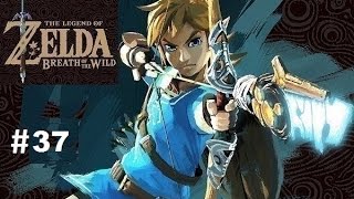 The Legend of Zelda: Breath of the Wild Хайрульские загадки / Святилище Моа-Кит и Са-Дааж #37