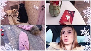 ?Потрясающие вязаные шапки ? Почему выбрали ЛАБРАДОРОВ? ? Смотрю "Рассказ Служанки"...