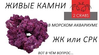 Живые камни в морском аквариуме.