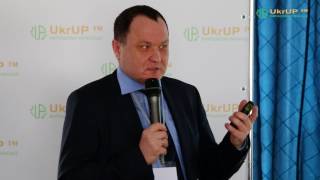 Как принимать правильные решения в интенсивной технологии выращивания чеснока
