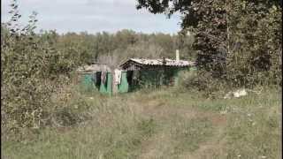 Новосибирская область, посёлок Антоновка.