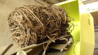 CAEB INTERNATIONAL Pellet Line