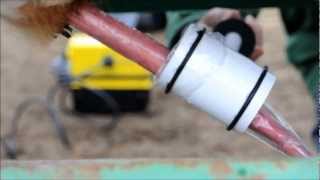 Extracción de semen y analítica de trichomonas y campilobacter en toro rubio gallego