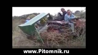 уборка шиповника комбайном