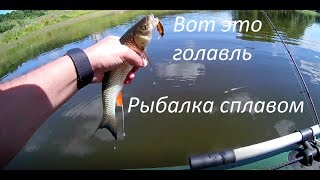 ЛОВЛЯ ГОЛАВЛЯ СПЛАВОМ. РЫБАЛКА НА РЕКЕ ПСЕЛ