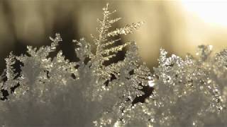 Зимняя сказка, узоры из инея и льда, Winter fairytail, hoarfrost and ice