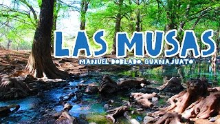 Guanajuatour: LAS MUSAS, Manuel Doblado