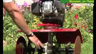 Культиватор бензиновый SunGarden T250 F OHV 6.0