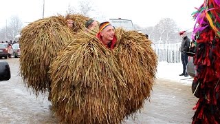 Маланка Красноїльськ 2016/ Malanka Krasnoilsk