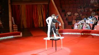 Эквилибр. Цирк. "Шахматы". Колобуховы. Hand balancing "Chessmen".