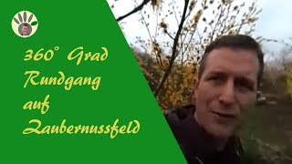 Hamamelis-Zaubernuss 360 Grad Rundgang. Schaut euch um!