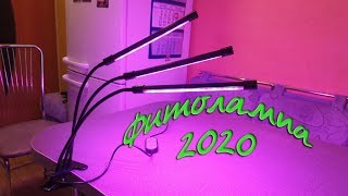 Фитолампа с АлиЭкспресс/ Доставка из России быстро удобно надёжно/  Фитолампа в действии