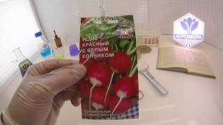 Редис Красный с белым кончиком. СеДеК