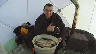 Огромная плотва ломает мормышки и сгибает удочку в дугу.