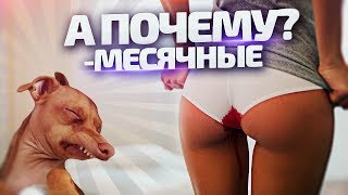 МЕСЯЧНЫЕ - а почему?