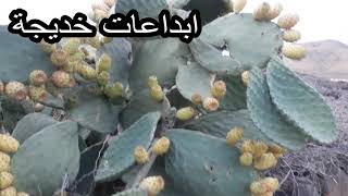تارودانت  اغرم عروسة الجنوب