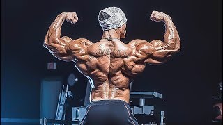 NO LIFE WITHOUT GYM #2  | Fitness Motivation