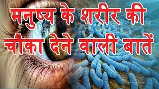 Hindi | Amazing Facts About The Human Body In Hindi