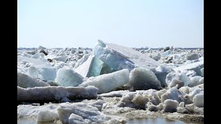 Предсказания по миру от 8.01.2020 года