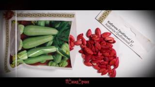 Семена Кабачок Кустовой Грибовский GOLD - Помидорчик