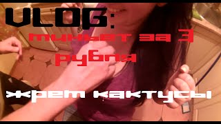 VLOG: Как получить миньет за 3 рубля / жрем кактусы