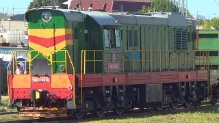 Тепловоз ЧМЭ3-6036 с одним грузовым вагоном