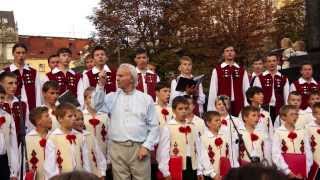 Ой у лузі червона калина - співає Дударик