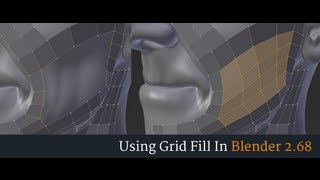 Using The Grid Fill Modeling Tool in Blender