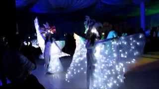 Светодиодное, световое шоу Ростове-на-Дону и Краснодаре. ART ELEGANCE SHOW