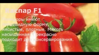Лучшие сорта томатов для теплиц