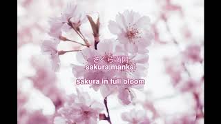 Morning Musume - sakura mankai (cover) // TUMI YUKII