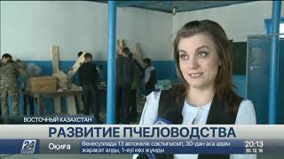 Центр по обучению пчеловодству открыли в ВКО