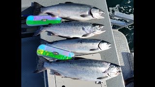 Coho Fishing Game Changer "2018"