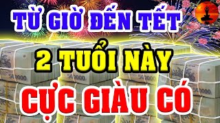 Từ Giờ Đến Tết 2021 - 2 Con Giáp TRẢ SẠCH NỢ NẦN, TRÚNG SỐ, Giàu Nhanh Chóng Mặt. ĂN TẾT CỰC TO
