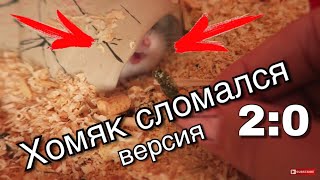 ХОМЯЧОК СЛОМАЛСЯ ВЕРСИЯ 2:0 ???