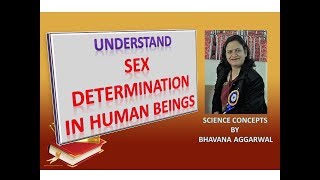Sex Determination in Human Beings
