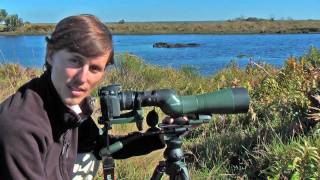 Digiscoping. How to take Sharp Photos: Focus, Aperture, Timer, Tripod & Quality Optics
