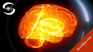 Musik zum Lernen: Emotionale Musik mit Alphawellen und Streicher ♫07