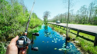This TINY Canal was LOADED with FISH!!!!