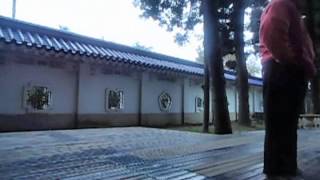 baji quan 格鬥八極拳--出手的快慢討論