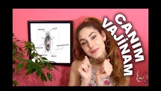 Sevgili Dostum Vajina, [Part II]