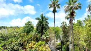151 CRANDON BL # 442,Key Biscayne,FL 33149 Condo For Sale