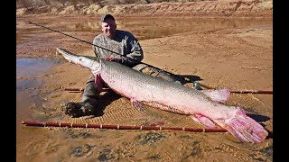 ВОТ ЭТО УЛЁТНАЯ РЫБАЛКА 2019 Вот это приколы на рыбалке #96 Amazing Fishing