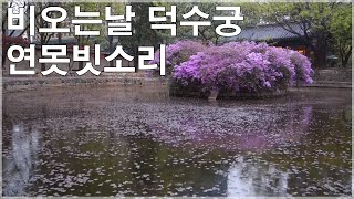 비소리 빗소리 덕수궁 연못 비오는풍경 -백색소음 3시간