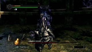 Dark Souls Prepare To Die Edition Havel Vs Artorias NG+++