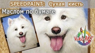 Мастер-класс. Как нарисовать собаку маслом на бумаге. Сухая кисть. Быстрое рисование. StudioVikiART