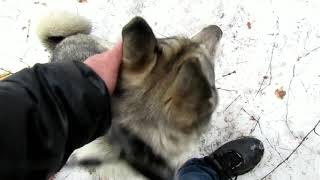 ‼️ПРОДОЛЖЕНИЕ - ИСТОРИИ ‼️