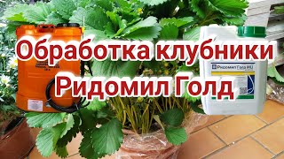 Обзор опрыскивателей. Обработка клубники. Ридомил Голд. Норма внесения. Belklubnika.by