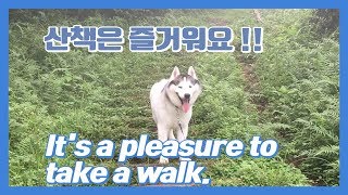 [복종이] 제주도 산책이야기 6화 : 복종아 군산오름 어땠어?