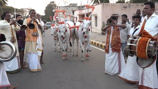 Grand Procession of Hallikar bulls of Nanjappa, Siddaganga cattle fair